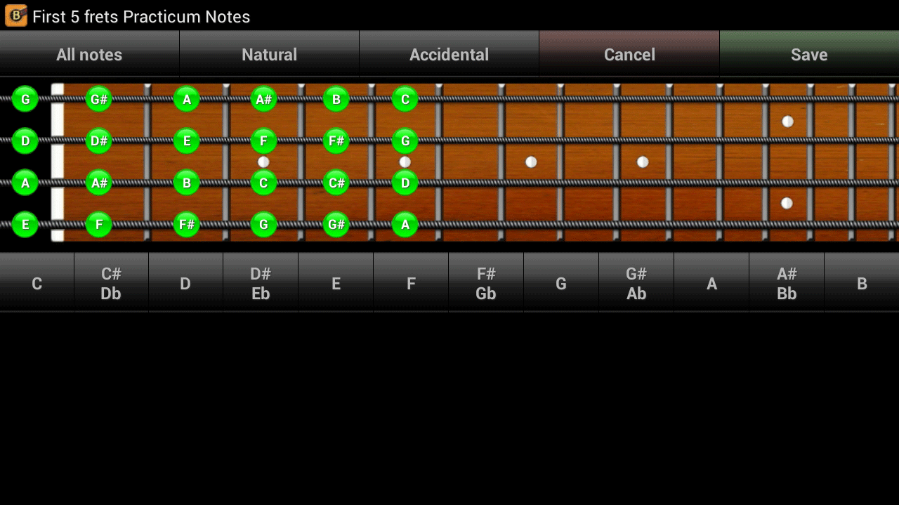 bgnt_practicum_custom_notes_all