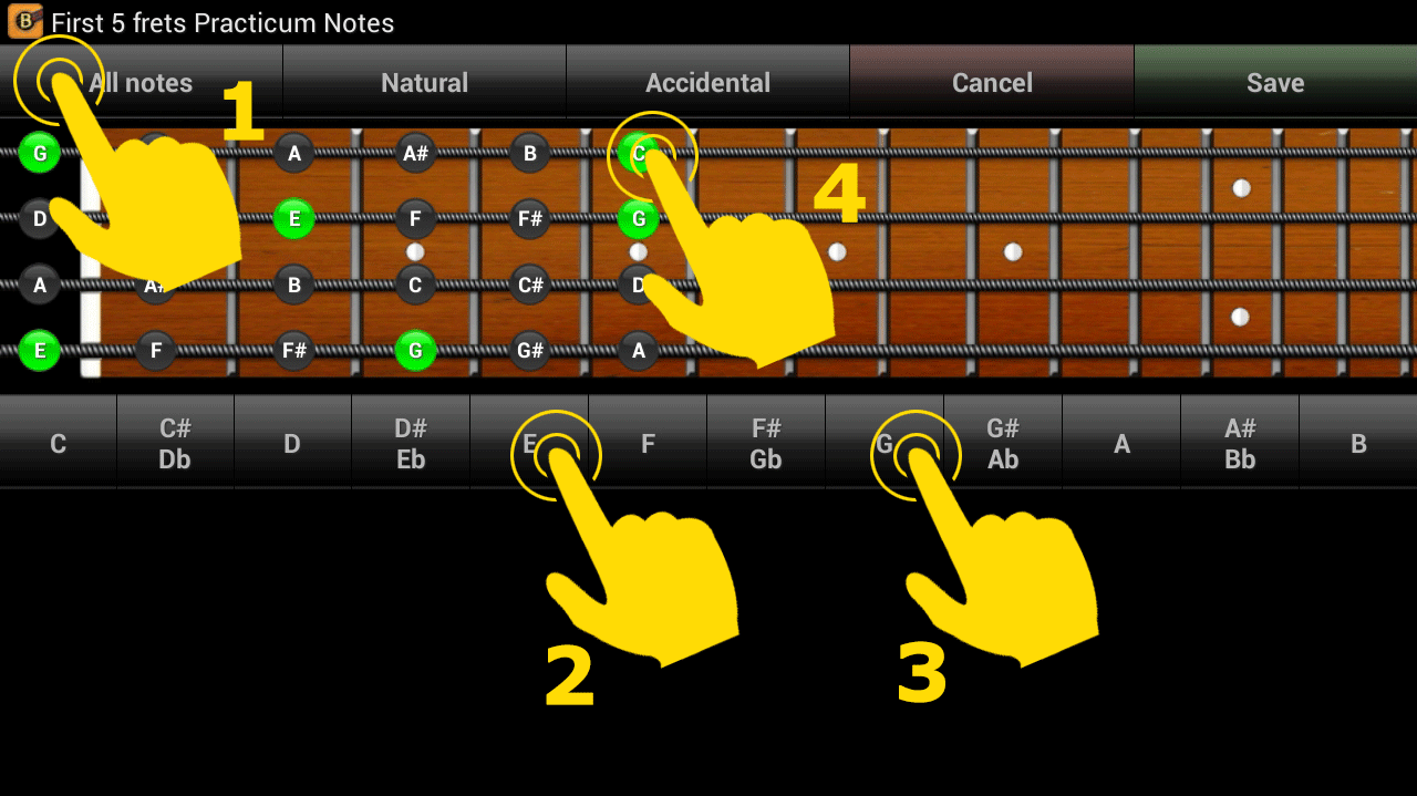 bgnt_practicum_custom_notes_example
