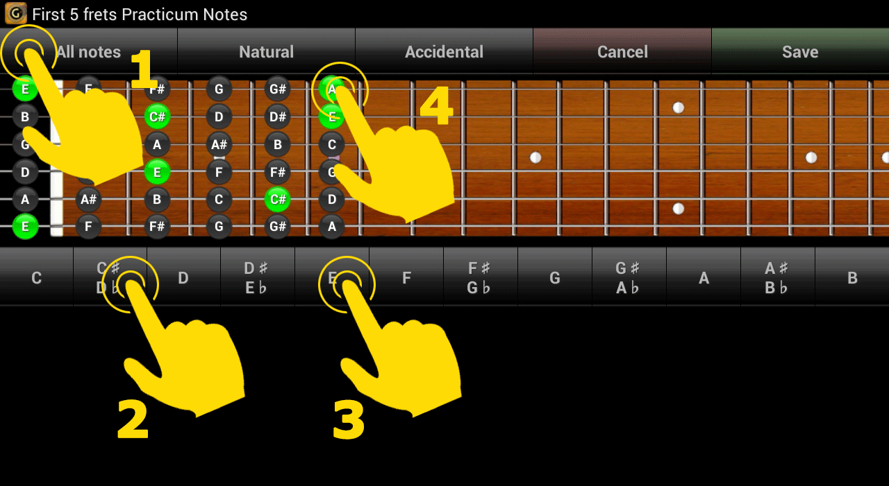 gnt_practicum_custom_notes